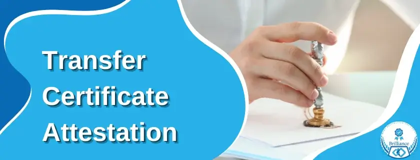 Transfer certificate attestation